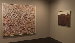 Jean Dubuffet &amp; Larry Poons: Material Topographies